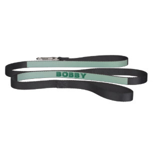Personalized Modern Green Dog`s Name Pet Leash