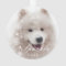Personalized Modern Pet Photo with Snowflakes 