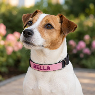 Personalized Modern Pink Dog`s Name  Pet Collar