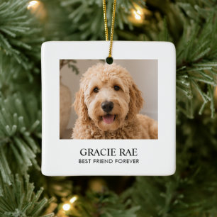 Personalized Modern Simple Pet Photo Ceramic Ornament