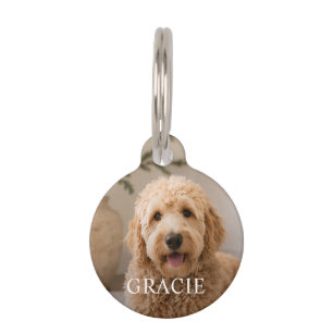 Personalized Modern Simple Pet Photo ID Tag