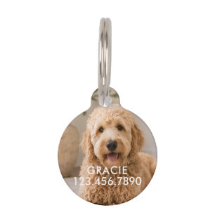 Personalized Modern Simple Pet Photo ID Tag