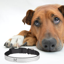 Personalized Modern Stripe Custom Pet Collar