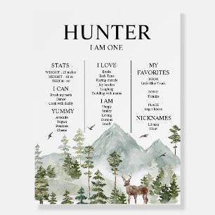 Personalized Modern Winter Forest Deer Baby  Foam Board