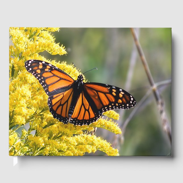 Personalized Monarch Butterfly Wedding Guestbook (Front)