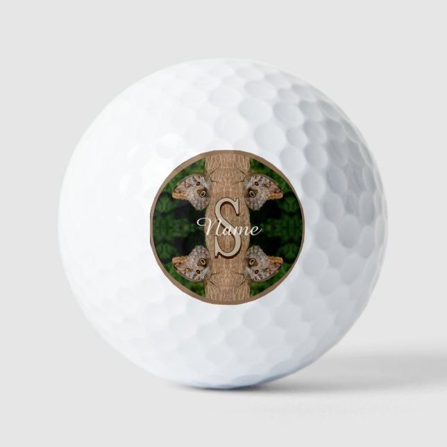 Personalized Monogram Initial Name Butterfly Art Golf Balls (Front)