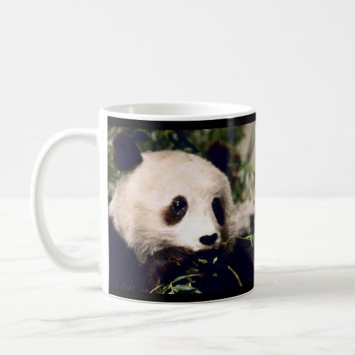 Personalized Mug Sweet PANDA MUNCHING ON BAMBOO