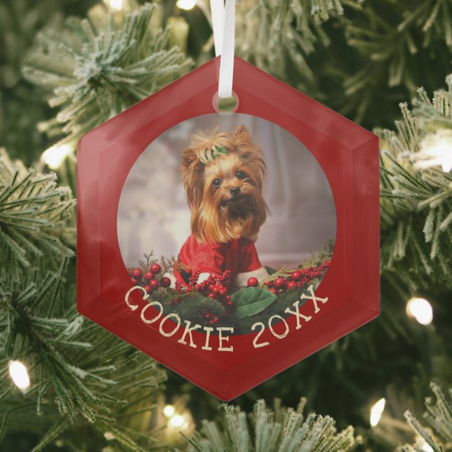 Personalized My First Christmas Dog Keepsake Pet Glass Ornament (Insitu)