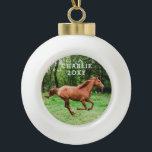 Personalized Name and Year Horse Photo Ceramic Ball Christmas Ornament<br><div class="desc">Ornament with a photo and name of your own horse with dated yaer. Make your own horse photo ornament quickly and easily - lots of ornament types available in the Paper Grape Zazzle Store Pet Ornament Collection!</div>