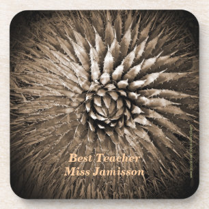 Personalized Name Best Teacher Agave Sepia Beverage Coaster