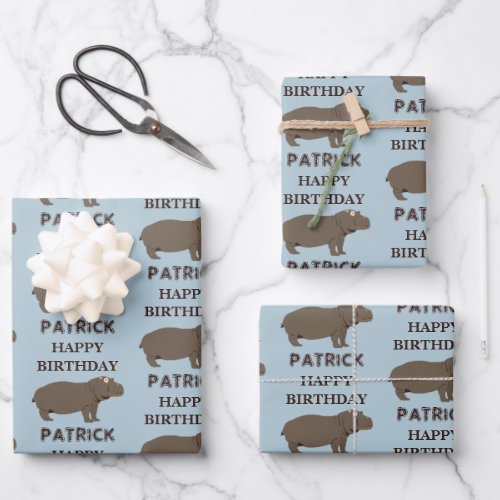 Personalized Name Birthday Hippopotamus Hippo Wrapping Paper Sheets