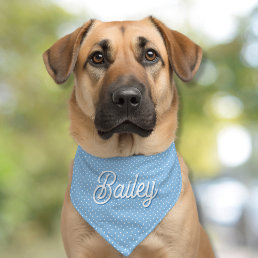 Personalized Name Blue Dot Pattern Dog Pet Bandana Collar