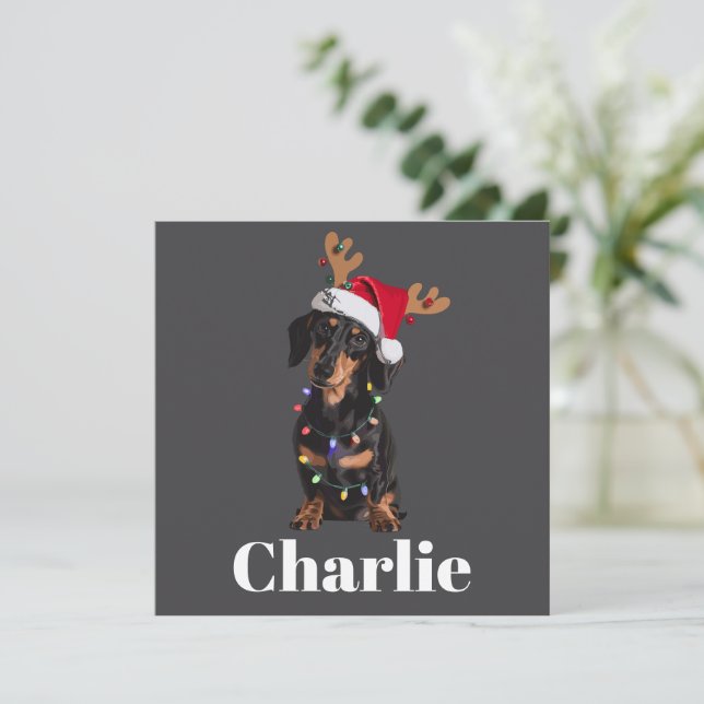 Personalized Name Christmas Dachshund Dog Lights Holiday Card (Standing Front)