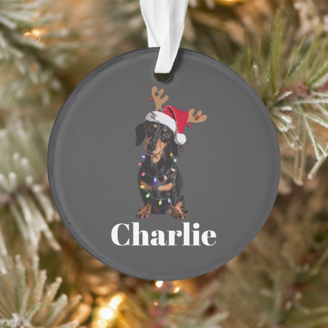 Personalized Name Christmas Dachshund Dog Lights Ornament (Tree)