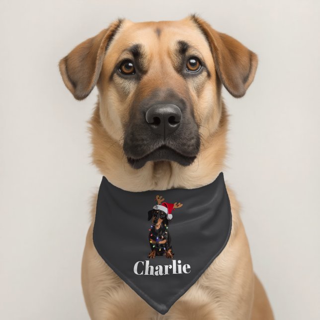 Personalized Name Christmas Dachshund Dog Lights Pet Bandana Collar (Dog 2)