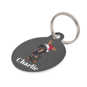 Personalized Name Christmas Dachshund Dog Lights Pet ID Tag
