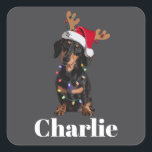 Personalized Name Christmas Dachshund Dog Lights Square Sticker<br><div class="desc">Personalized Name Christmas Dachshund Dog Lights</div>