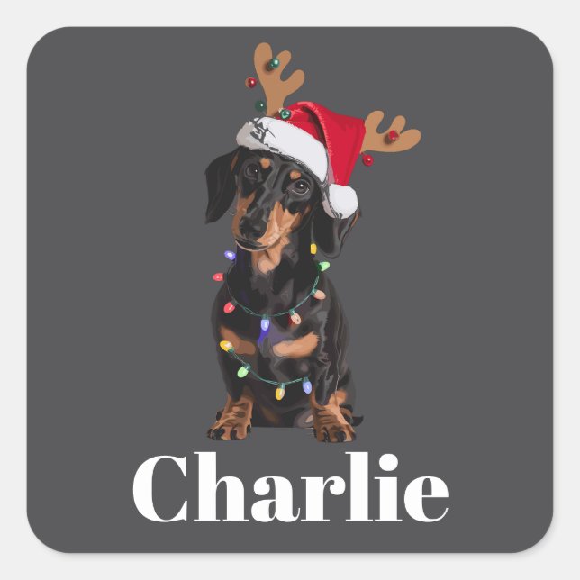 Personalized Name Christmas Dachshund Dog Lights Square Sticker (Front)