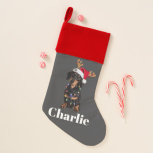 Personalized Name Christmas Dachshund Dog Lights Stocking
