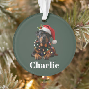 Personalized Name Custom Rottweiler Dog Christmas Ornament