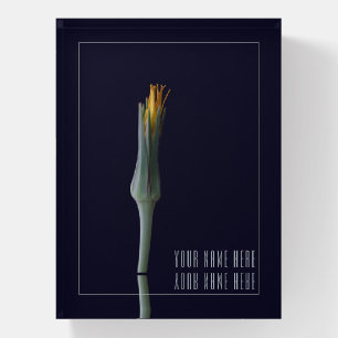 Personalized Name Elegant Floral Mirror Black Paperweight