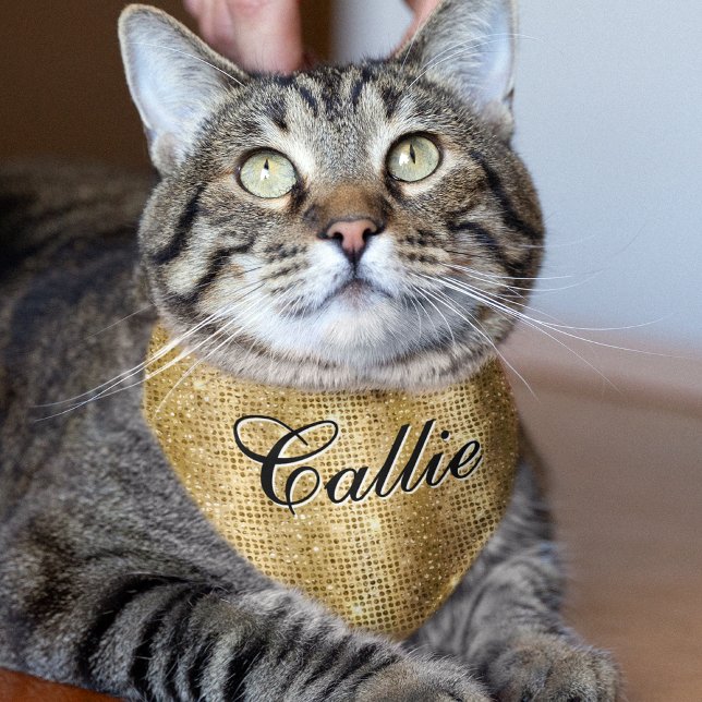Personalized Name Gold Sequin Sparkle Pattern Cat Pet Bandana Collar (Creator Uploaded)