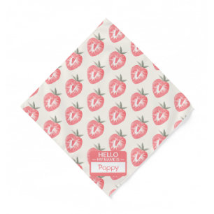 Personalized Name Hello, My Name Is Pet  Bandana