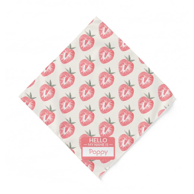 Personalized Name Hello, My Name Is Pet  Bandana (Front)