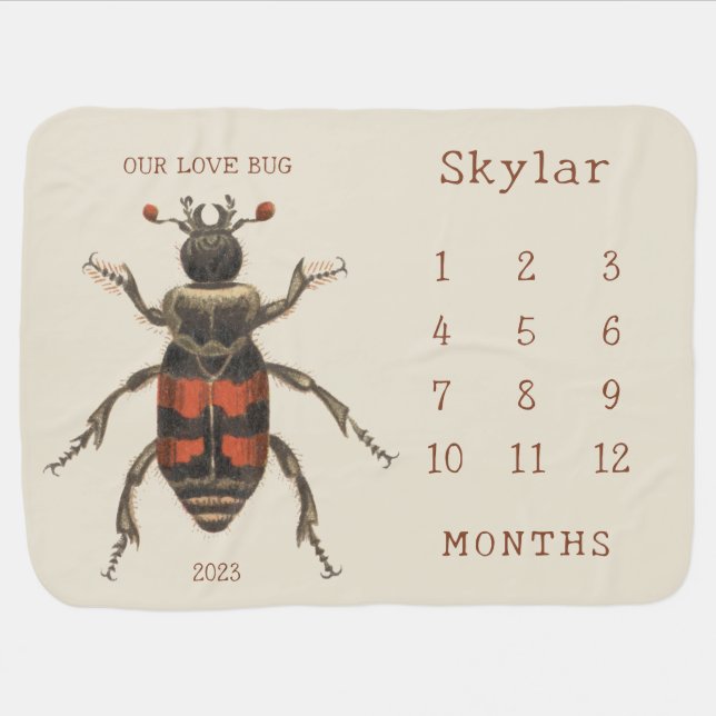 Personalized Name Love Bug Baby  Month Milestone Baby Blanket (Horizontal)