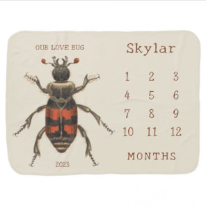 Personalized Name Love Bug Baby  Month Milestone Blanket