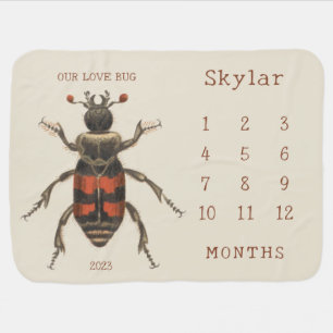 Personalized Name Love Bug Baby  Month Milestone Blanket
