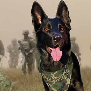 Personalized Name Military Army Camouflage Pattern Pet Bandana Collar