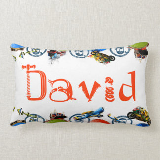 Personalized Name Monogram for David/Boys Lumbar Pillow