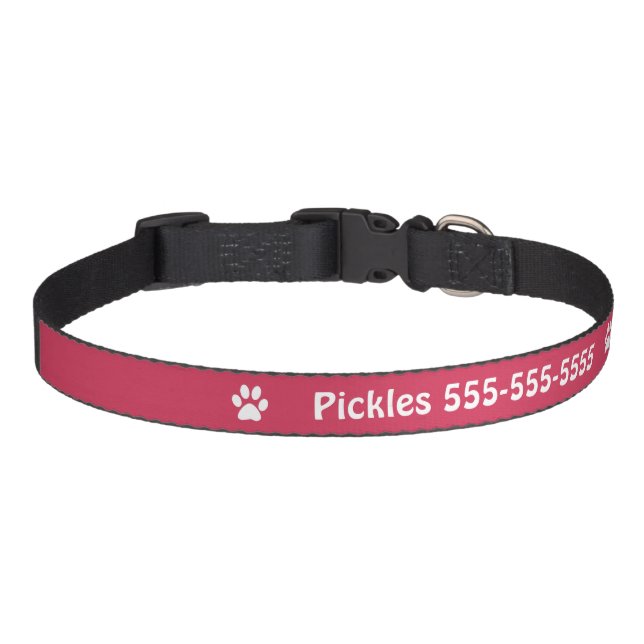 Personalized Name & Number Dog Collar (Front)