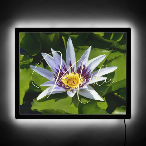 Personalized Name on Yellow Purple Water Lily  LED LED Sign