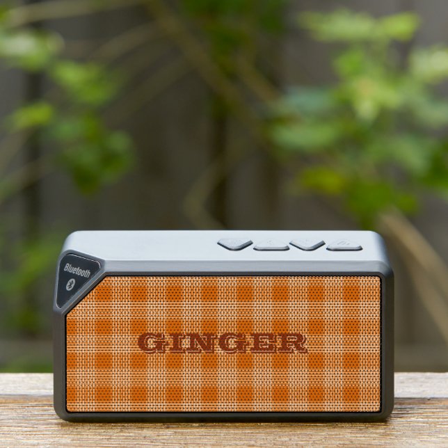 Personalized Name Orange Plaid Gingham Pattern Bluetooth Speaker (Insitu(Outdoor))