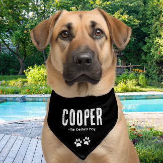 Personalized Name Pet Bandana Collar