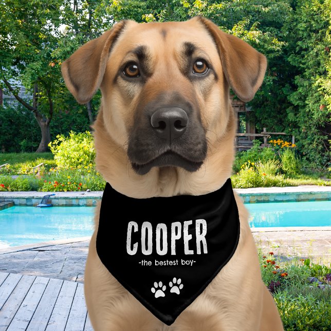 Personalized Name Pet Bandana Collar (Creator Uploaded)