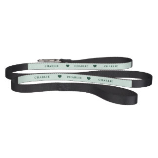 Personalized Name Pet Leash