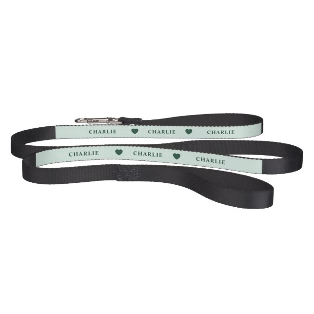 Personalized Name Pet Leash (Full)
