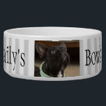 Personalized Name Photo Template Stripes Dog Bowl<br><div class="desc">This design was created from my one-of-a-kind fluid acrylic painting. It may be personalized by clicking the customize button and changing the name, initials or words. You may also change the text color and style or delete the text for an image only design. Contact me at colorflowcreations@gmail.com if you with...</div>