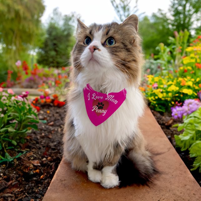 Personalized Name Pink Bandana Cat Collar  (Cat)