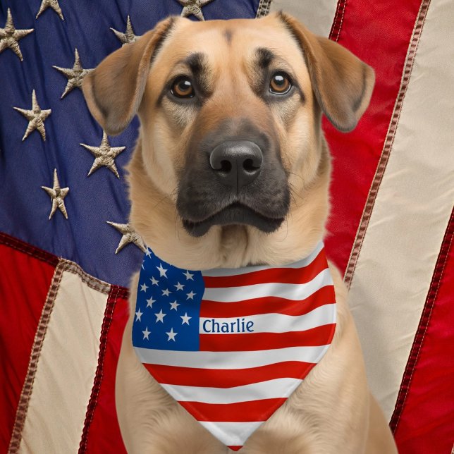 Personalized Name Proud American USA Flag Pet Bandana Collar (Personalized Name Proud American USA Flag Pet Bandana Collar by Ricaso. Patriotic pet attire)