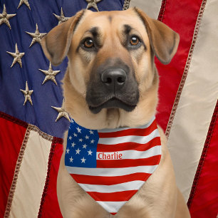 Personalized Name Proud American USA Flag Pet Bandana Collar