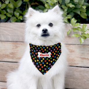 Personalized Name Rainbow Heart Pattern With Bone Pet Bandana Collar