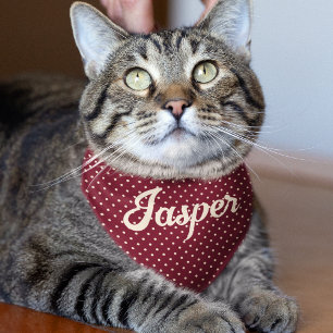 Personalized Name Red Dot Pattern Cat Pet Bandana Collar