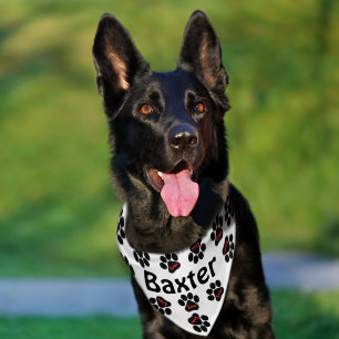 Personalized Name With Paw Pattern Pet Bandana Collar
