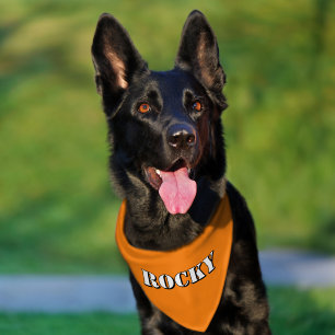 Personalized Name Working Dog Safety Bright Orange Pet Bandana Collar
