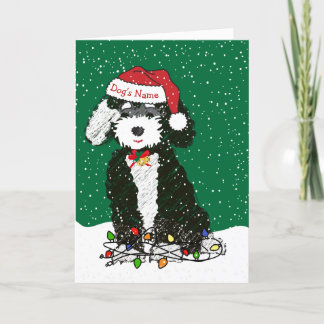 Personalized Naughty Bernedoodle Christmas Holiday Card