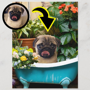 Personalized New Puppy Birth Announcement Photo Postcard